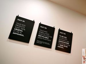 Facts at Land & Monkeys in Bordeaux