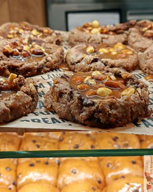 Cookie at Land & Monkeys in Bordeaux