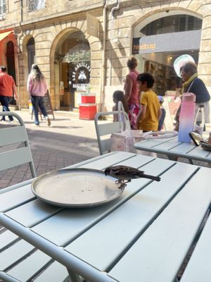 A friend!   at Land & Monkeys in Bordeaux