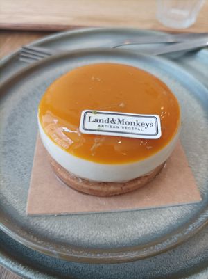 Cheesecake mangue 😍 at Land & Monkeys in Bordeaux