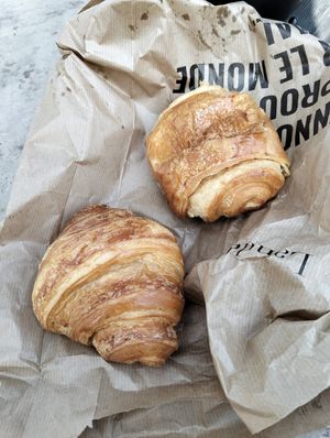  at Land & Monkeys in Bordeaux