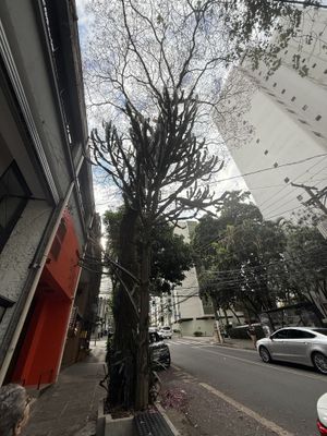   at Tau Cozinha in Sao Paulo