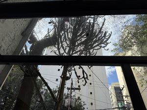   at Tau Cozinha in Sao Paulo