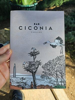 The place at Ciconia Chellah in Rabat