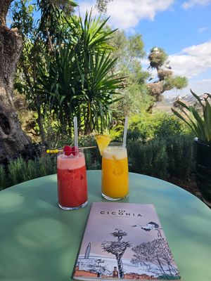 Very good juices at Ciconia Chellah in Rabat