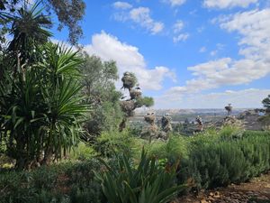 View of nesting storks at Ciconia Chellah in Rabat