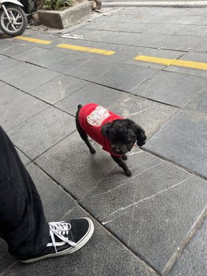   at Bánh Mỳ Chay - Vegetarian Bread in Hanoi