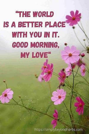  at Curry Queen Tandoori Restaurant in Hampton