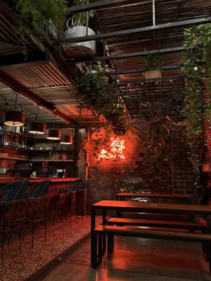 Jardineria at Lulo Bar in Santa Marta