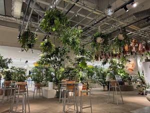 Inside the café at (THISIS)NATURE in Kyoto