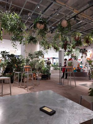 Store at (THISIS)NATURE in Kyoto