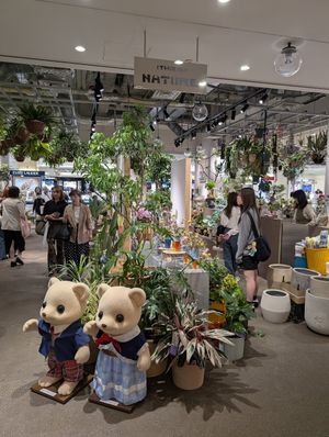 inside at (THISIS)NATURE in Kyoto