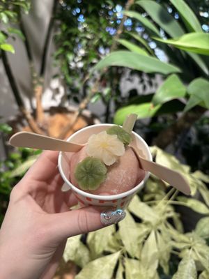 mochi covered ice cream scoop   at (THISIS)NATURE in Kyoto