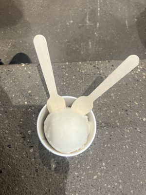   at (THISIS)NATURE in Kyoto