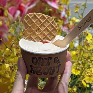 Vegan Oriental Beauty (Chrysanthemum Goji) Ice Cream at Oat & About in Central Singapore