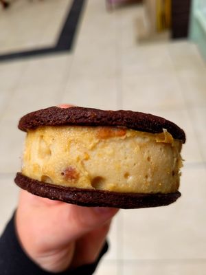 The Doctor Is In Vegan Ice Cream Sandwich at Dollop! Ice Cream Parlour in Llandudno