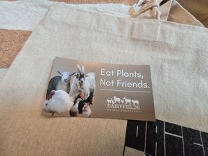 At Vegan Afairs, Brugge at Daisyfields vzw in Kortrijk