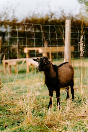  at Daisyfields vzw in Kortrijk