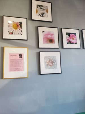  at Malelani Cafe in Philadelphia