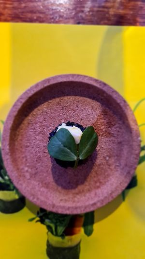 Cucumber, nut butter, miso, fingerlime at Shu in Collingwood