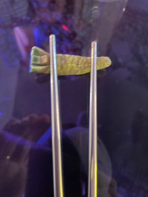   at Shu in Collingwood