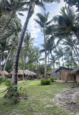 Connected to Dive Camp  at OMUS vegan @Dive Camp in Dauin