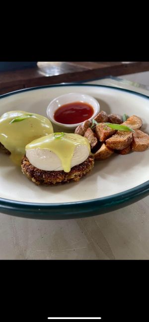  at OMUS vegan @Dive Camp in Dauin