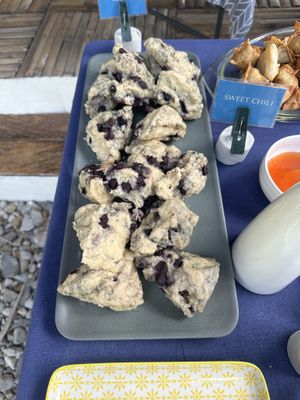   at OMUS vegan @Dive Camp in Dauin