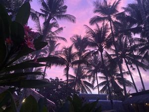  at OMUS vegan @Dive Camp in Dauin