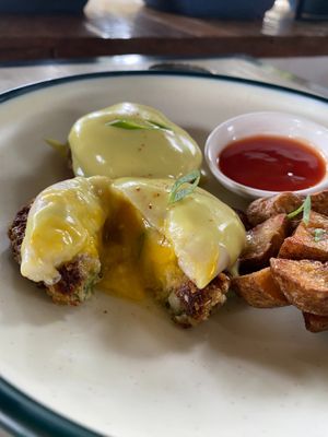  at OMUS vegan @Dive Camp in Dauin