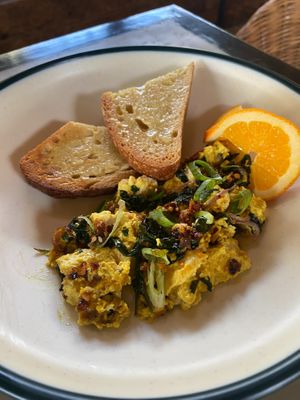  at OMUS vegan @Dive Camp in Dauin