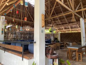  at OMUS vegan @Dive Camp in Dauin