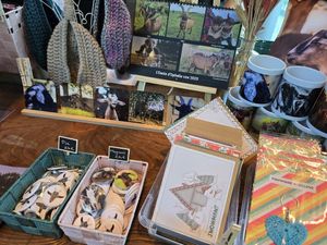 At Vegan Afairs, Brugge at Melkgeitenopvang Ophelia in Vaux-sur-sure