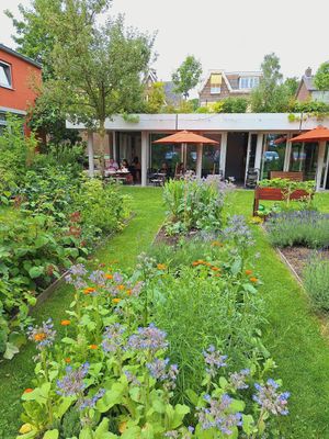 vegetable garden at Atelier Giri in Arnhem