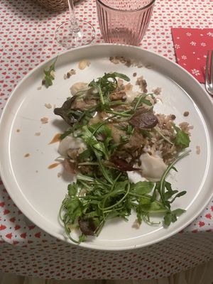   at KOOKPLANT in Drongen