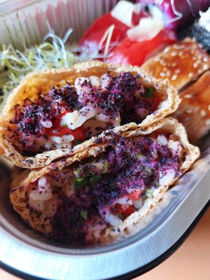  at KOOKPLANT in Drongen