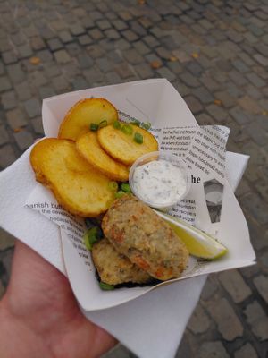 Fish and chips at KOOKPLANT in Drongen