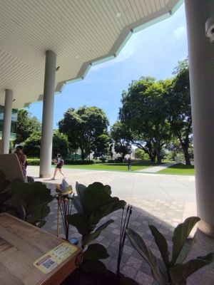 Good view at Nature Cafe - SMU - 自然疏食 in Central Singapore