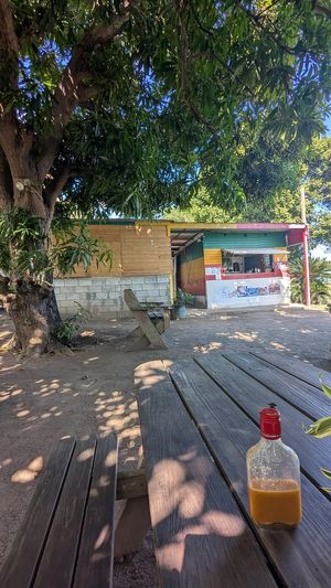 Lovely shady location   at Ital Creations - Food Stall in Basseterre