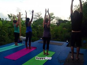 Sunset yoga classes in the middle of the farm at Ital Creations - Food Stall in Basseterre