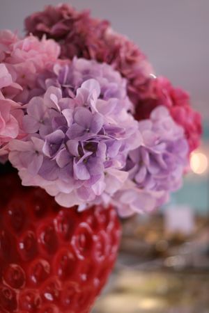  at Life is Sweet in Munich