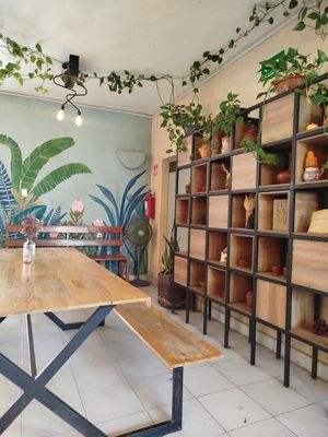  at Alma Raiz Cocina Saludable  in Oaxaca