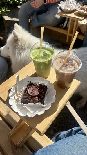   at Patonejo in Nunoa