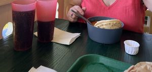 They come in reusable tablewear that they wash. Sat outsidee  at Disneyland - Colonel Hathi's Outpost in Chessy