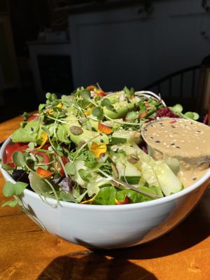   at Salud Live Kitchen and Juice Bar in Bend