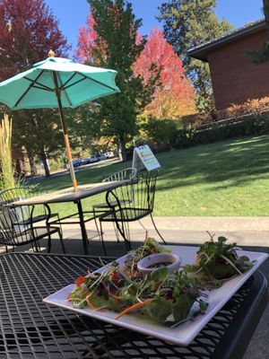 “won tons” YUM at Salud Live Kitchen and Juice Bar in Bend