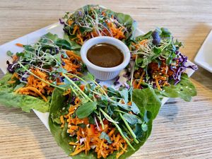 Wontons   at Salud Live Kitchen and Juice Bar in Bend