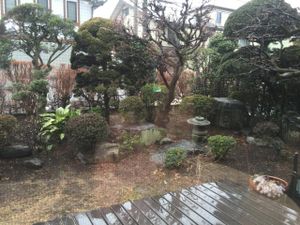 the view from my table at Cafe Topinambour in Tokyo