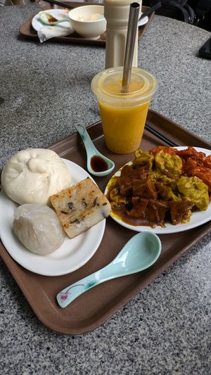 Dim sum, BBq bao, turnip cake and dumplings. Mixed mock meat and mango drink at Deli Vegetarian Cafe 緻寶齋 in Outlying Islands