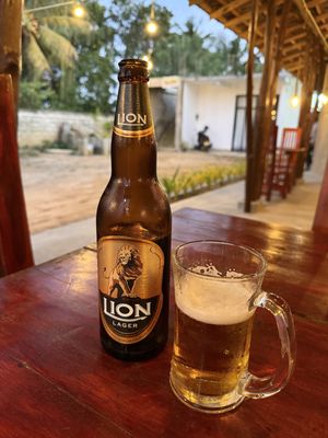 Lion Beer is served chilled.   at Ceylon Excel in Tangalle